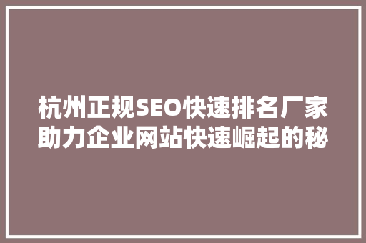 杭州正规SEO快速排名厂家助力企业网站快速崛起的秘密武器