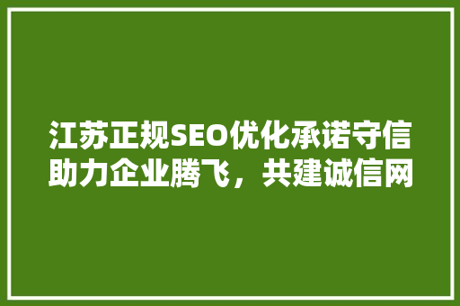 江苏正规SEO优化承诺守信助力企业腾飞，共建诚信网络生态