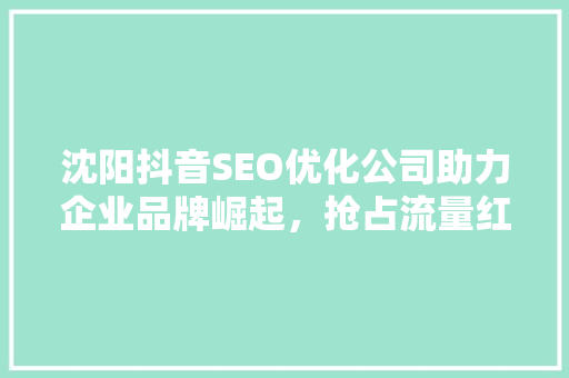 沈阳抖音SEO优化公司助力企业品牌崛起，抢占流量红利