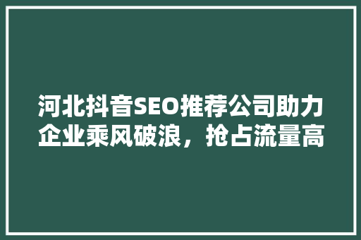 河北抖音SEO推荐公司助力企业乘风破浪，抢占流量高地