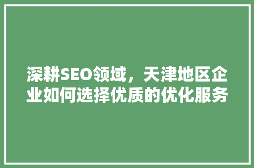 深耕SEO领域，天津地区企业如何选择优质的优化服务商
