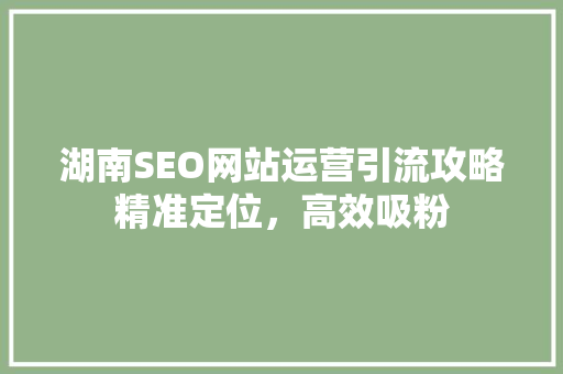 湖南SEO网站运营引流攻略精准定位，高效吸粉