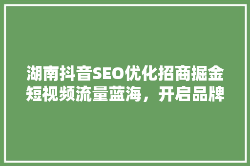 湖南抖音SEO优化招商掘金短视频流量蓝海，开启品牌新篇章