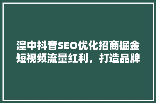 湟中抖音SEO优化招商掘金短视频流量红利，打造品牌新引擎  第1张
