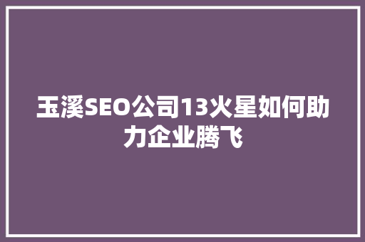 玉溪SEO公司13火星如何助力企业腾飞