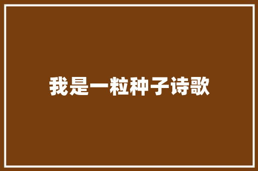 先科手机科技与创新的完美融合，引领智能手机新时代