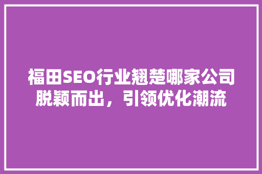 福田SEO行业翘楚哪家公司脱颖而出，引领优化潮流