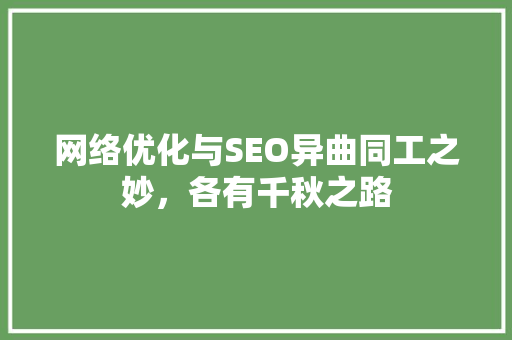 网络优化与SEO异曲同工之妙，各有千秋之路