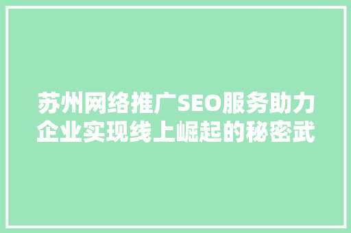 苏州网络推广SEO服务助力企业实现线上崛起的秘密武器