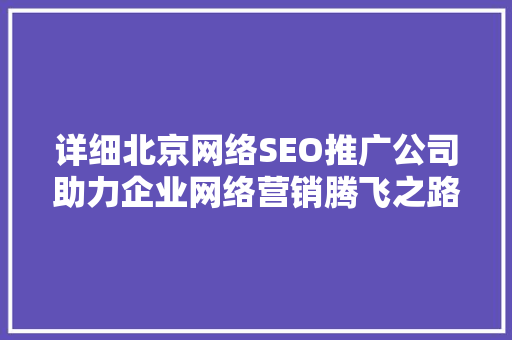 详细北京网络SEO推广公司助力企业网络营销腾飞之路