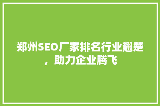 郑州SEO厂家排名行业翘楚，助力企业腾飞