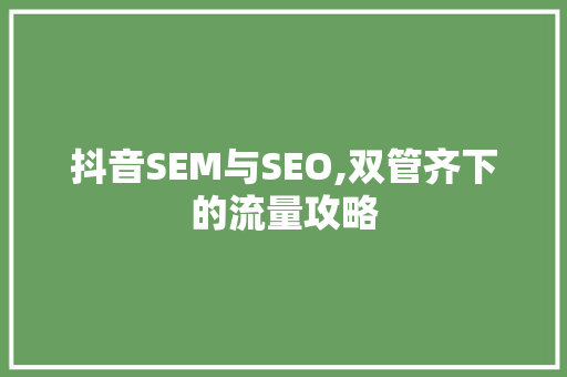 抖音SEM与SEO,双管齐下的流量攻略
