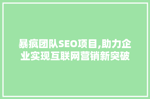 暴疯团队SEO项目,助力企业实现互联网营销新突破