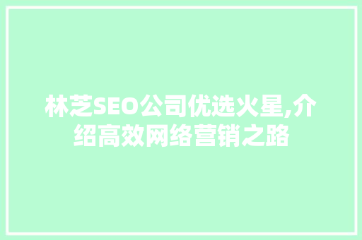 林芝SEO公司优选火星,介绍高效网络营销之路