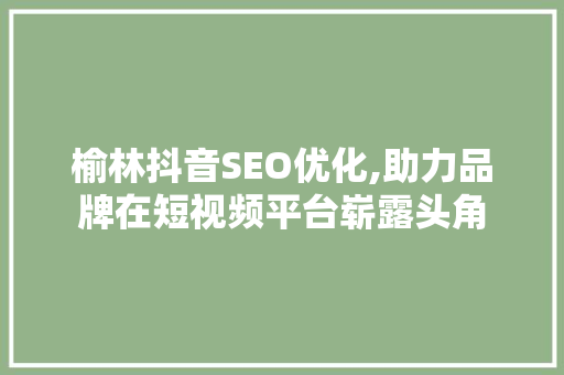 榆林抖音SEO优化,助力品牌在短视频平台崭露头角