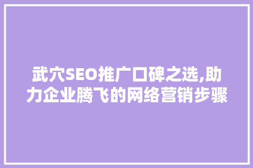 武穴SEO推广口碑之选,助力企业腾飞的网络营销步骤