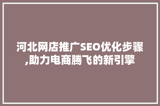 河北网店推广SEO优化步骤,助力电商腾飞的新引擎