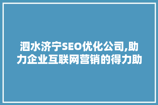 泗水济宁SEO优化公司,助力企业互联网营销的得力助手