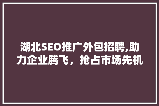 湖北SEO推广外包招聘,助力企业腾飞，抢占市场先机  第1张