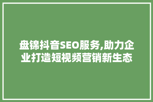 盘锦抖音SEO服务,助力企业打造短视频营销新生态
