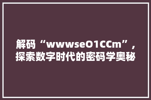 解码“wwwseO1CCm”,探索数字时代的密码学奥秘