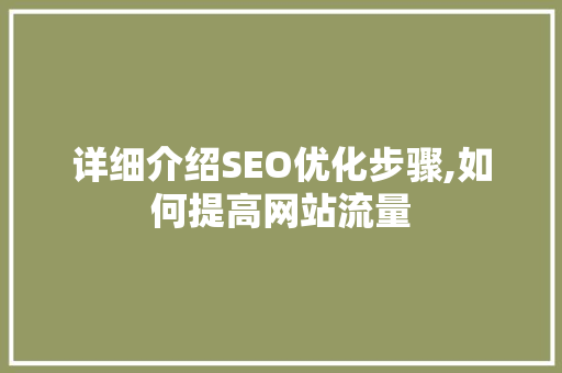 详细介绍SEO优化步骤,如何提高网站流量