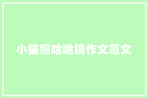 代码量背后的价值软件开发的“量”与“质”之争