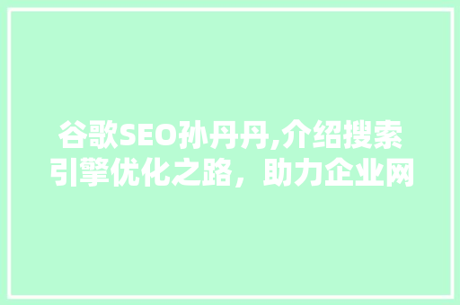 谷歌SEO孙丹丹,介绍搜索引擎优化之路，助力企业网站排名提升