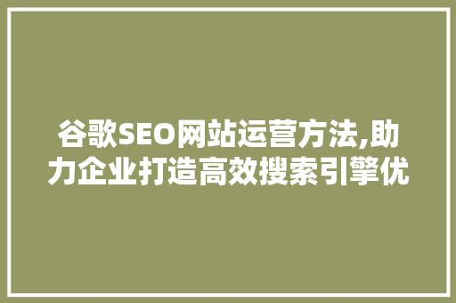 谷歌SEO网站运营方法,助力企业打造高效搜索引擎优化步骤