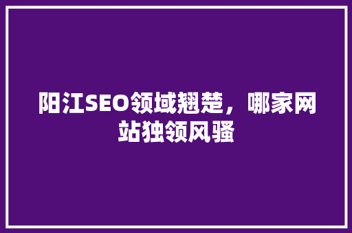 阳江SEO领域翘楚，哪家网站独领风骚  第1张
