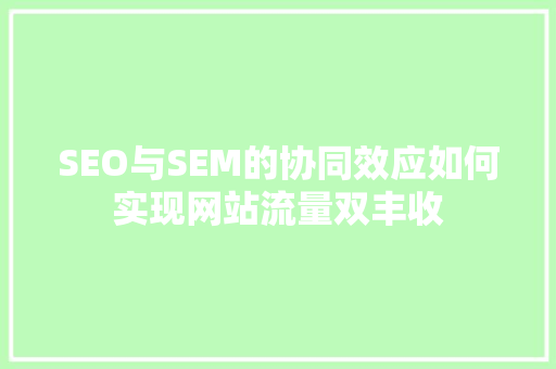 SEO与SEM的协同效应如何实现网站流量双丰收