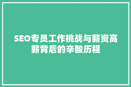 SEO专员工作挑战与薪资高薪背后的辛酸历程