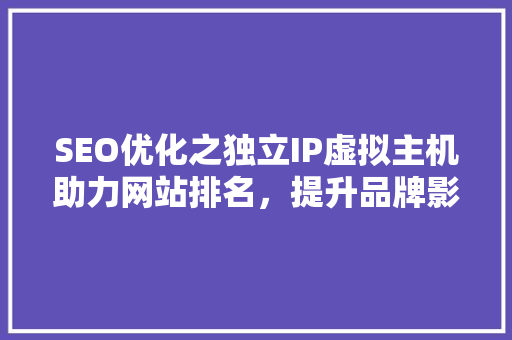 SEO优化之独立IP虚拟主机助力网站排名，提升品牌影响力