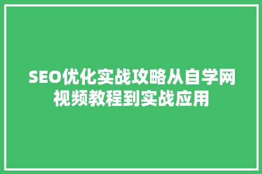 SEO优化实战攻略从自学网视频教程到实战应用