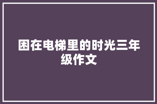 代码魔方秀编程艺术的魅力与未来