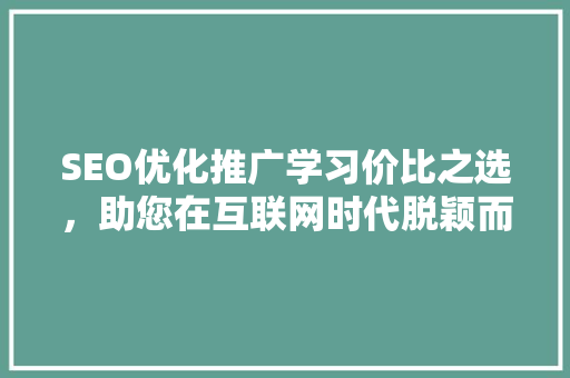 SEO优化推广学习价比之选，助您在互联网时代脱颖而出