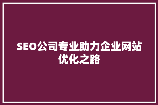 SEO公司专业助力企业网站优化之路