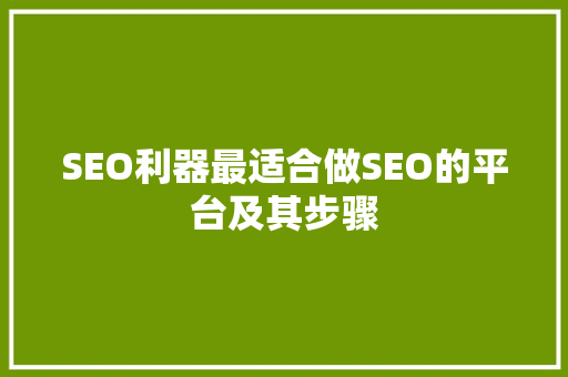 SEO利器最适合做SEO的平台及其步骤
