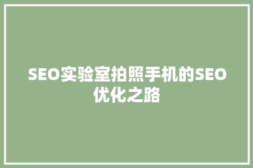SEO实验室拍照手机的SEO优化之路
