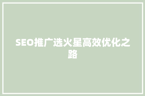 SEO推广选火星高效优化之路
