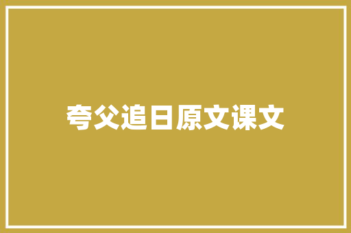 企管部代码创新驱动下的企业变革之路