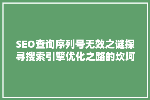 SEO查询序列号无效之谜探寻搜索引擎优化之路的坎坷与机遇