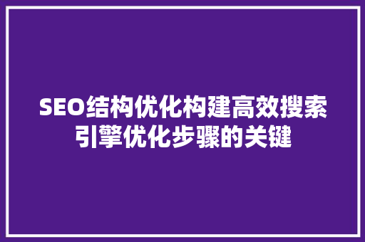SEO结构优化构建高效搜索引擎优化步骤的关键