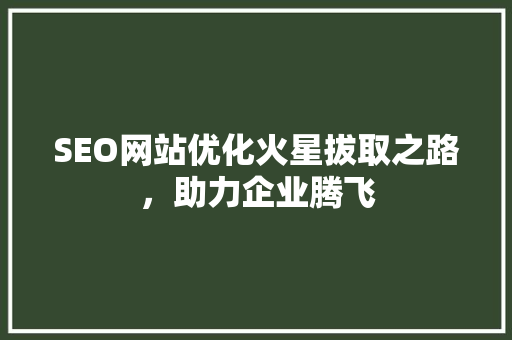 SEO网站优化火星拔取之路，助力企业腾飞