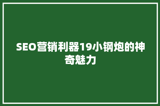 SEO营销利器19小钢炮的神奇魅力
