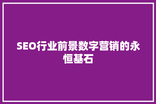 SEO行业前景数字营销的永恒基石