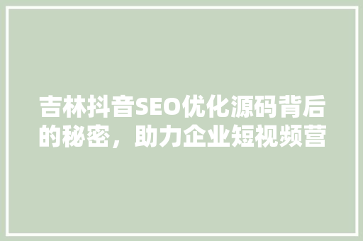 吉林抖音SEO优化源码背后的秘密，助力企业短视频营销新突破