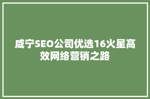 咸宁SEO公司优选16火星高效网络营销之路