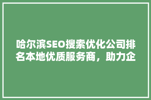 哈尔滨SEO搜索优化公司排名本地优质服务商，助力企业互联网营销新篇章