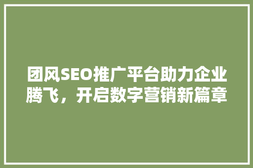 团风SEO推广平台助力企业腾飞，开启数字营销新篇章